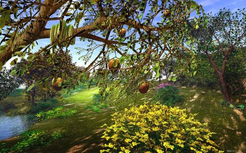 le jardin d'Eden